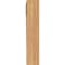 Ekena Millwork Olympic Block Smooth Bracket, Western Red Cedar, 3 1/2"W x 14"D x 18"H BKT04X14X18OLY05SWR - alternate 3